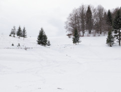 VIII. Mat na tri ťahy