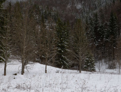 VIII. Mat na tri ťahy