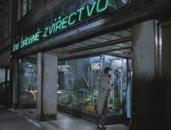 obchod so zvieratami