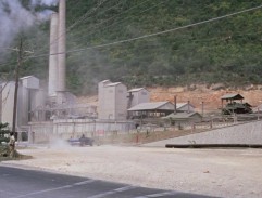 Schůzka se slečnou Taro