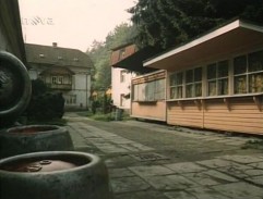 Stíhán a podezřelý