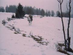 Vyjížďka na Juráškovi