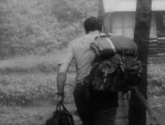 Třicet jedna ve stínu