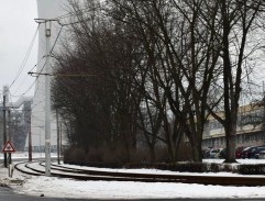 Bukowsky zalepuje okno