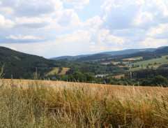 Královští rádcové na poli