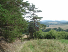 Tatínek se vrací domů 2