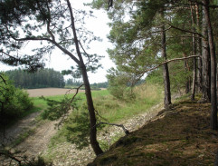 Tatínek se vrací domů