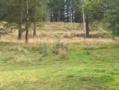 drevenica pri škole