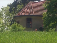 Báječná léta pod psa