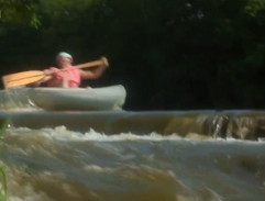 Báječná léta pod psa