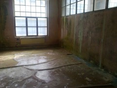 Báječná léta pod psa