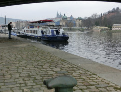 Pes pod Čechovým mostem