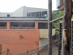 Báječná léta pod psa