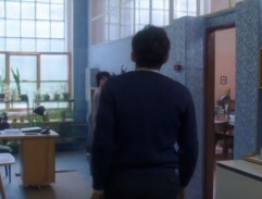 Báječná léta pod psa