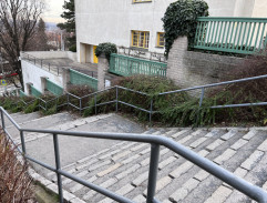 JUDr. Beránek jde za prof. Marešem