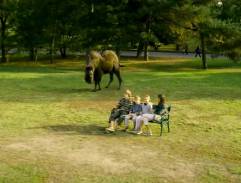 Děti v parku vyslovují přání