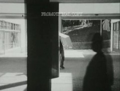 pred obchodným domom