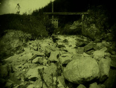 Lásky Kačenky Strnadové