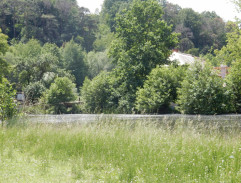 U vodníkova rybníku