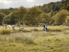 Král Boleslav na kládě