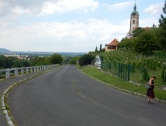 Testování