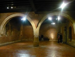 Na Karlově univerzitě