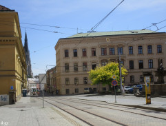 Soňa Pánková ve městě II