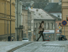 Soňa Pánková ve městě II