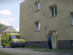 977. Lepší měnit šaty než ženicha