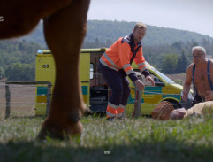 Ve výběhu s býkem