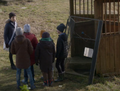 968. Nesmíš to vzdát