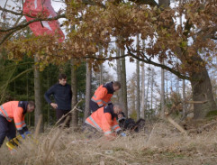 Záchrana Rosti Krále II