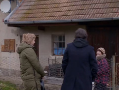 Dům paní Růžičkové II