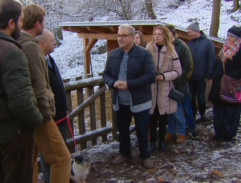 Prohlídka Mraveniště