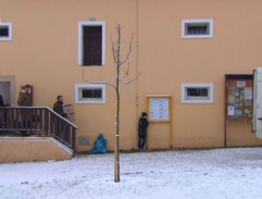 Vyklízení Mraveniště