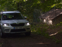 Přistižení v lese