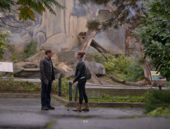 U výběhu medvědů II