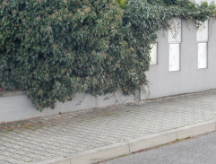 Bobo prchá před gorilou