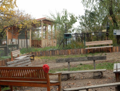 825. Zelená skákavá potvora