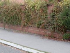 902. Minulost nezměním