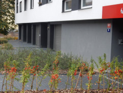 Já sem vášnivej tygr!