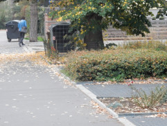 Medvídku, ty žiješ?!