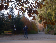 Autobusová zastávka Hrušková