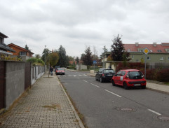 Františka před nehodou