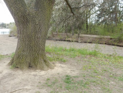 Ošetření pod stromem