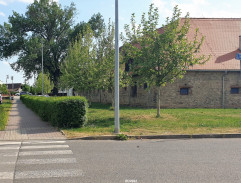 Honička se strýčkem Tien