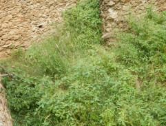 916. Pomáhat se nevyplácí