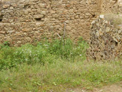 916. Pomáhat se nevyplácí