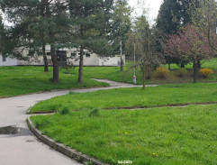 Zachráněný Tomášek Bulíř