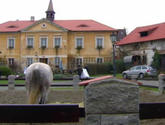 Před Bobovou svatbou